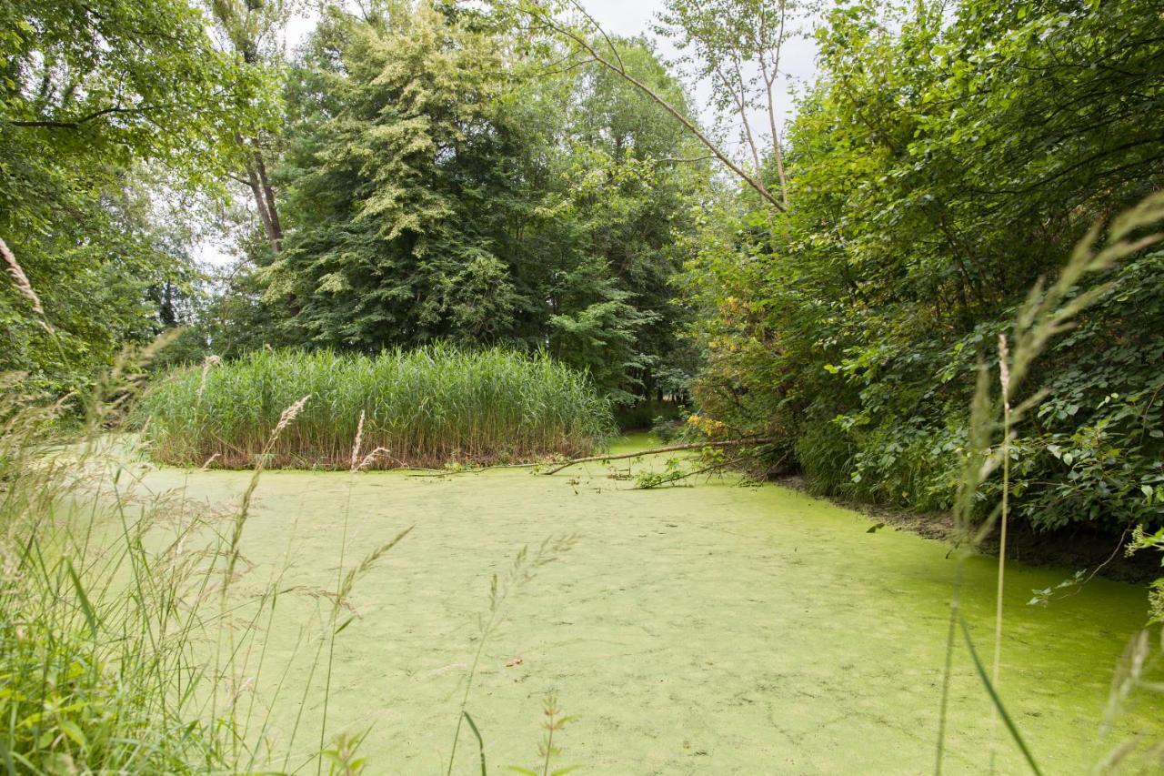 Altes Backhaus Haselberg Apartment Bagian luar foto